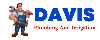 Trusted plumber in SAINT HEDWIG